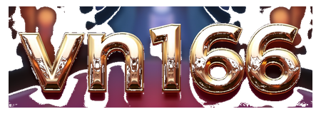 vn166 logo